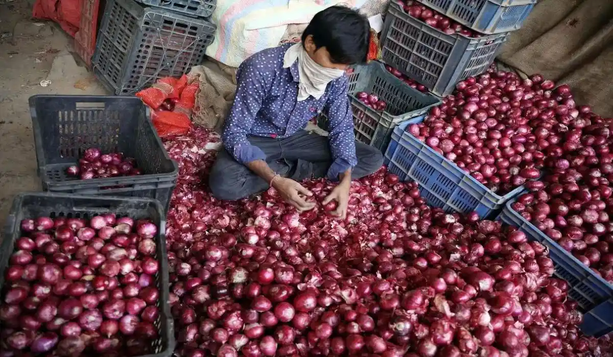 Onion Price Hike