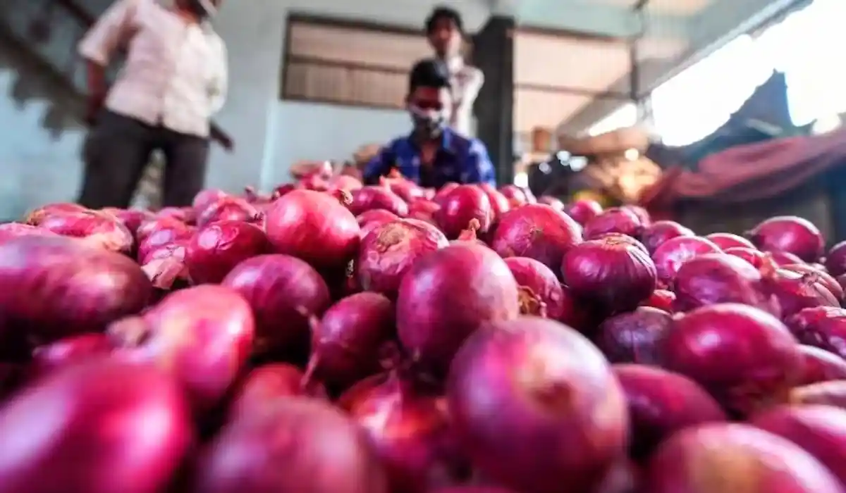 Onion Price Hike