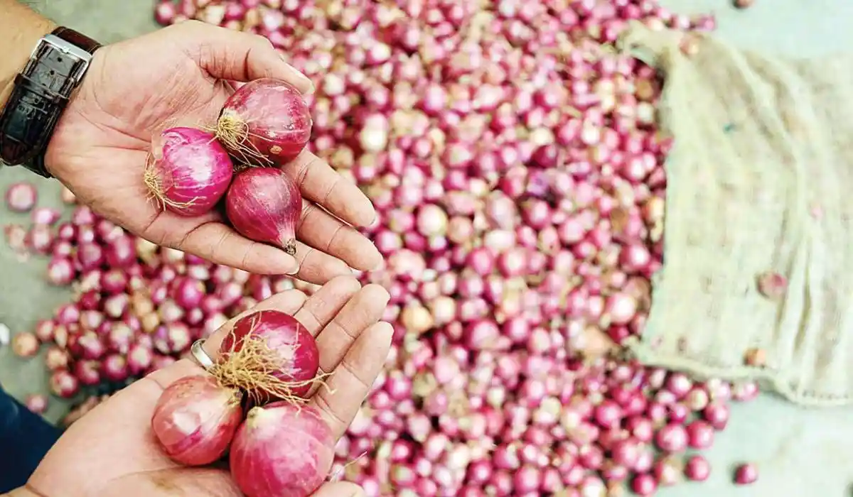 onion price hike